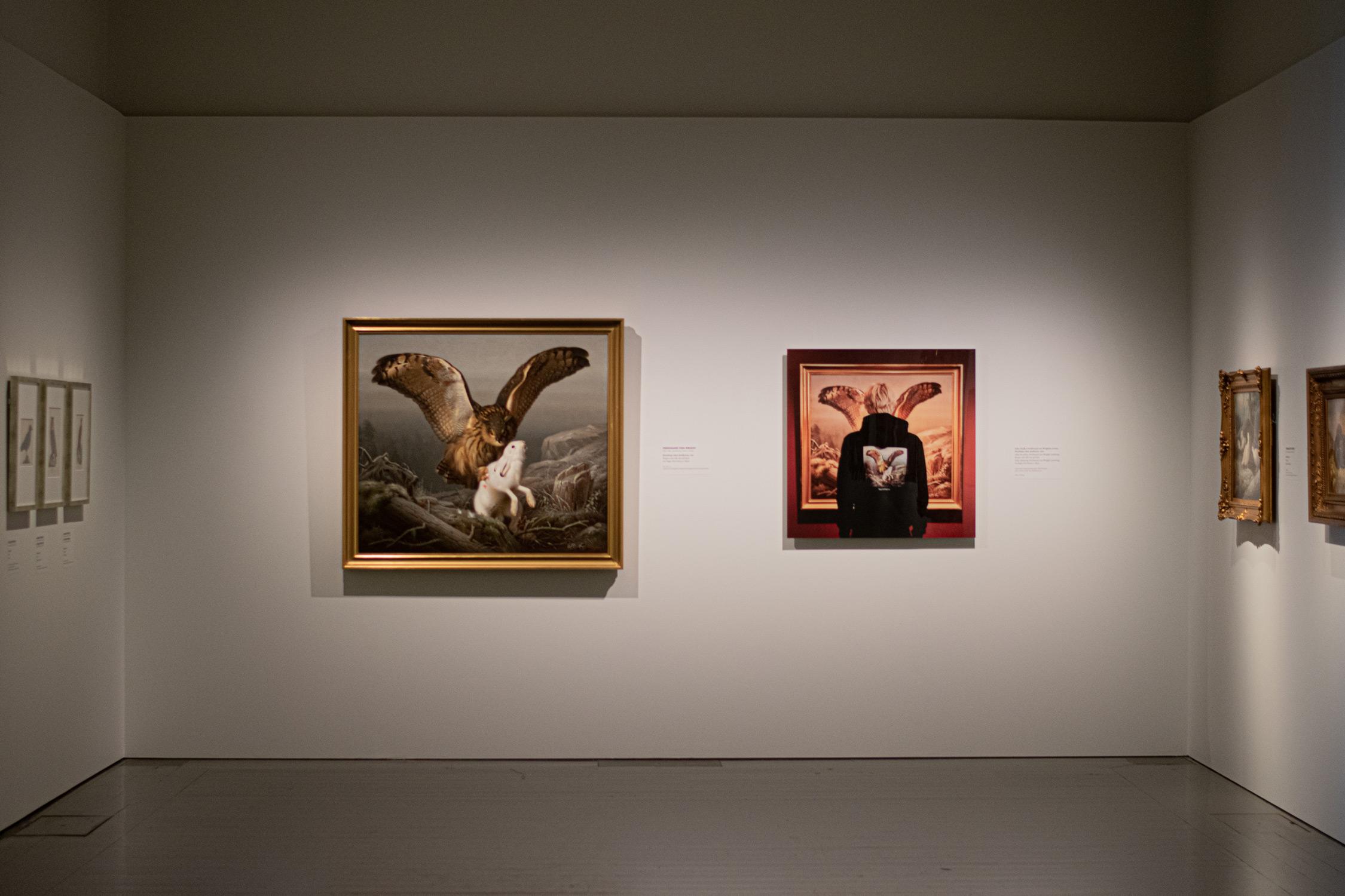 Gallery image 11