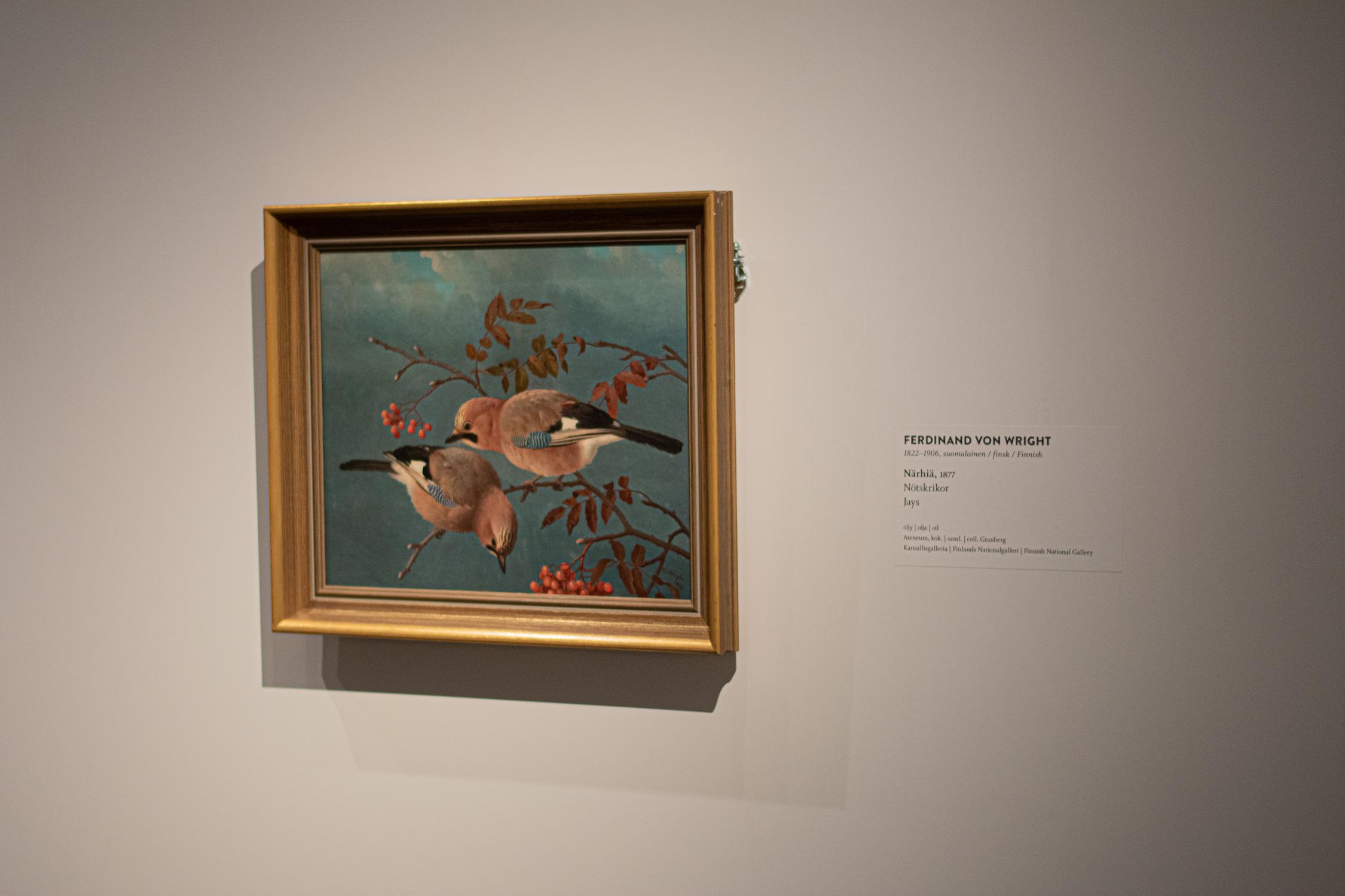 Gallery image 15