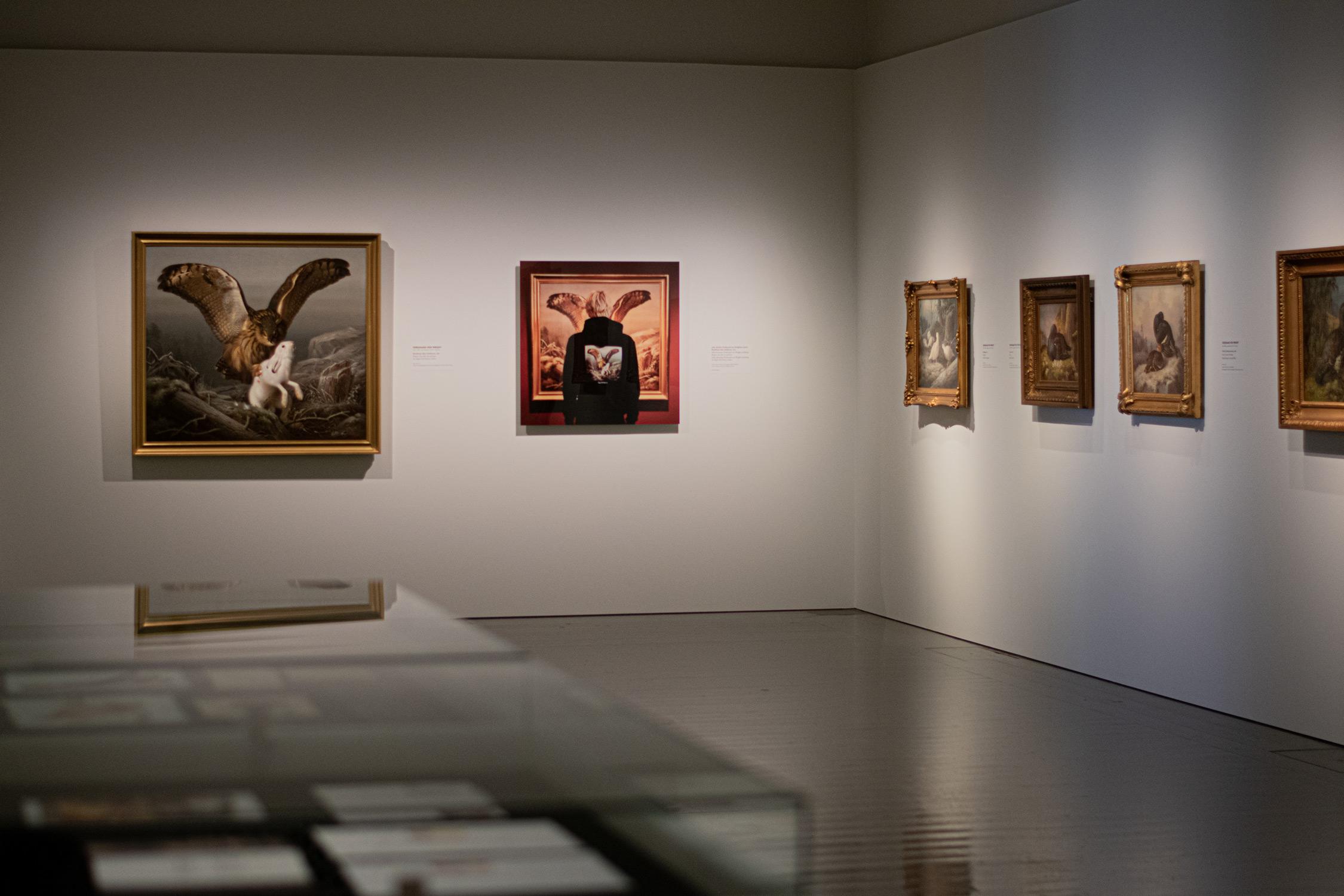 Gallery image 13