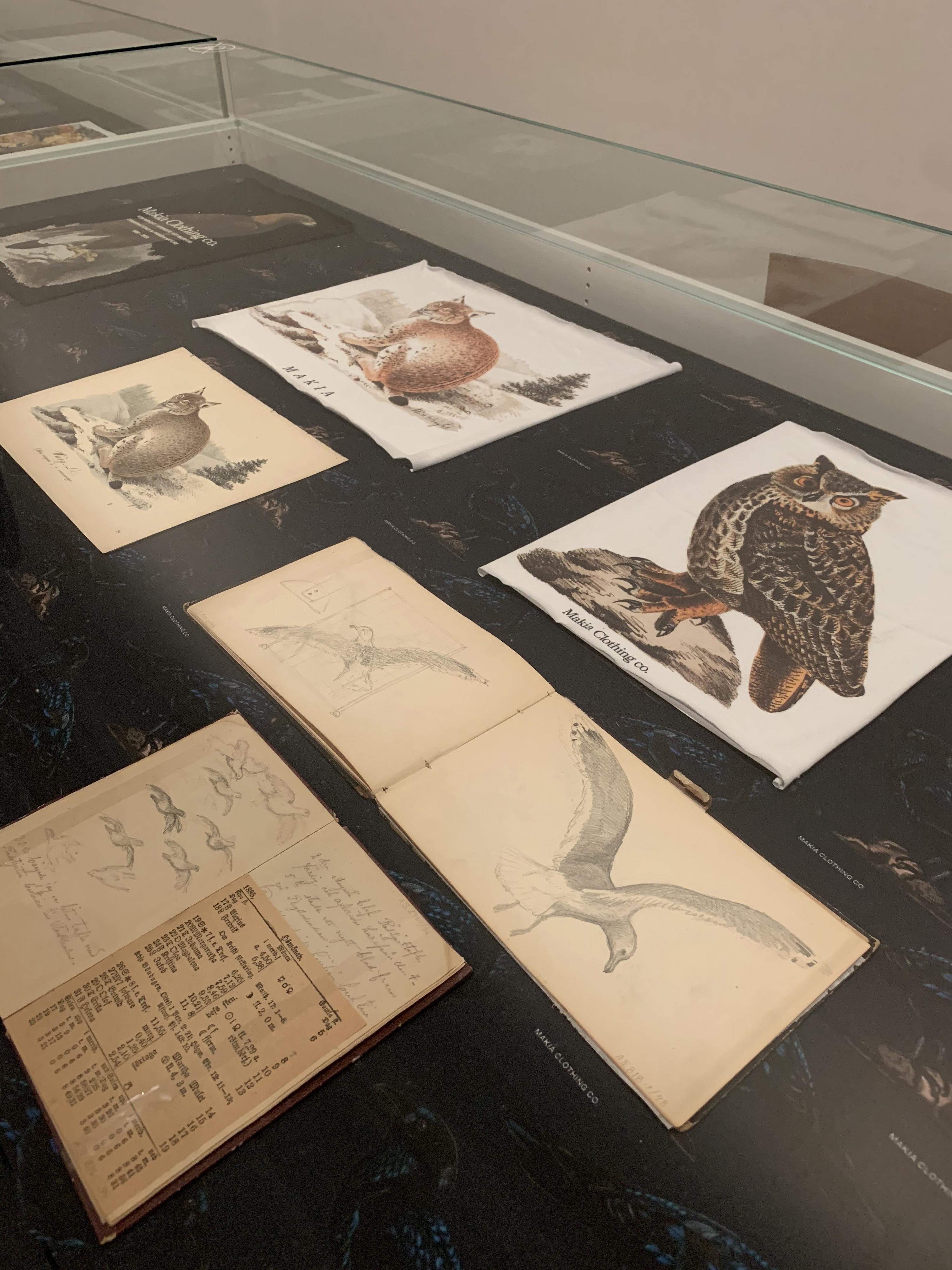 Gallery image 8