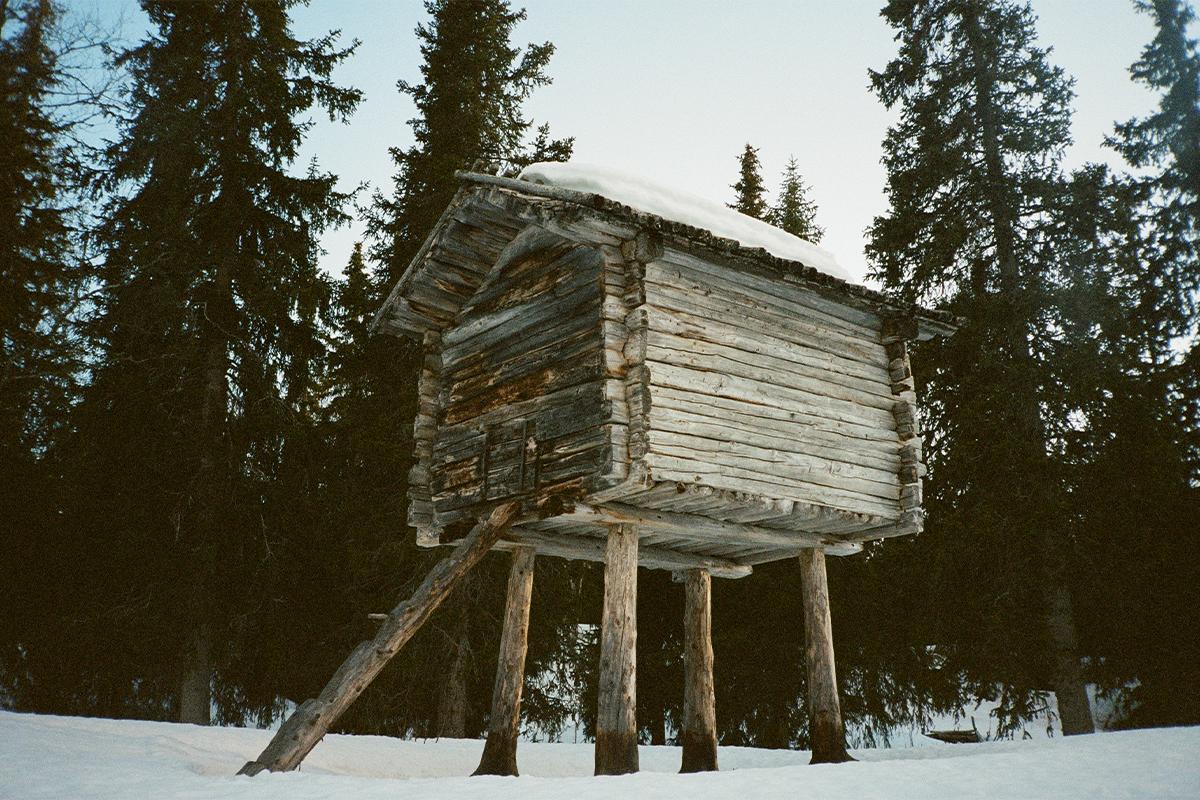 Gallery image 17