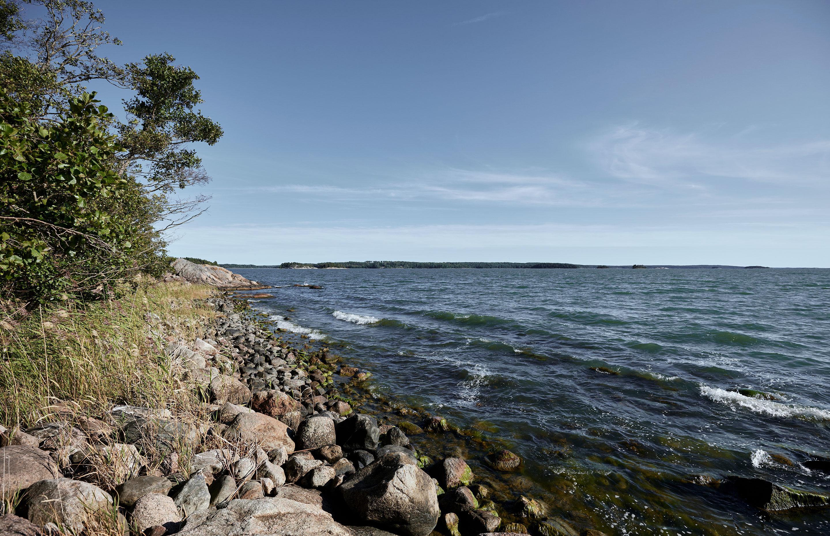 Gallery image 1